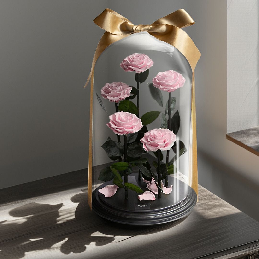 DESTINY ROSE（デスティニーローズ） | 最高級プリザーブドフラワーの