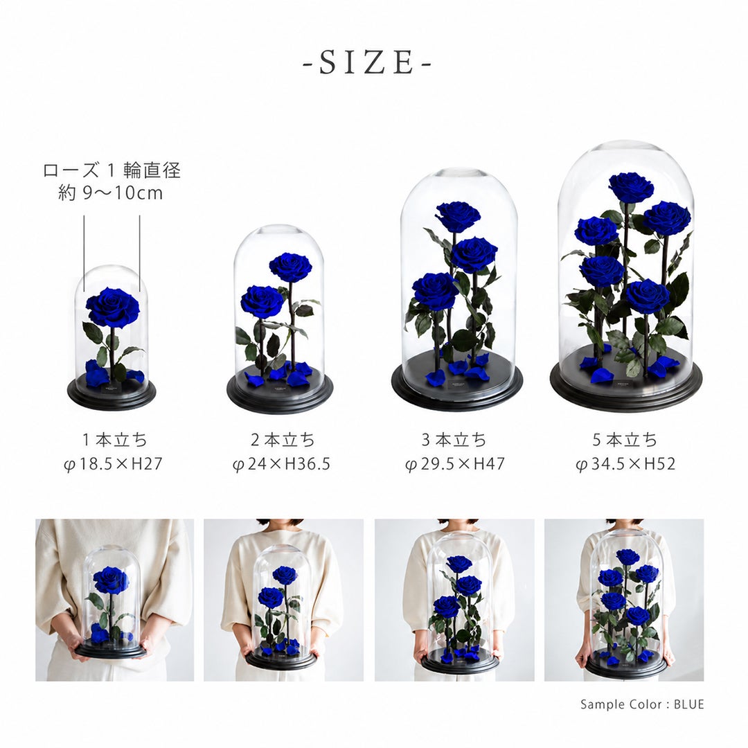 デスティニーローズ(2本立ち・ビジネス用)/エクセレントブルー
