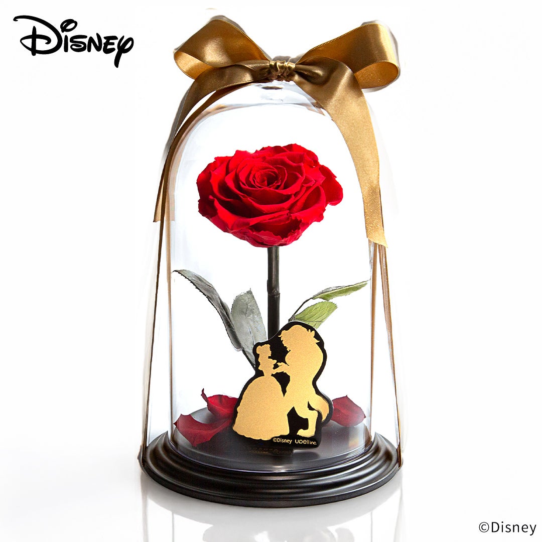 DESTINY ROSE（デスティニーローズ） | 最高級プリザーブドフラワーの