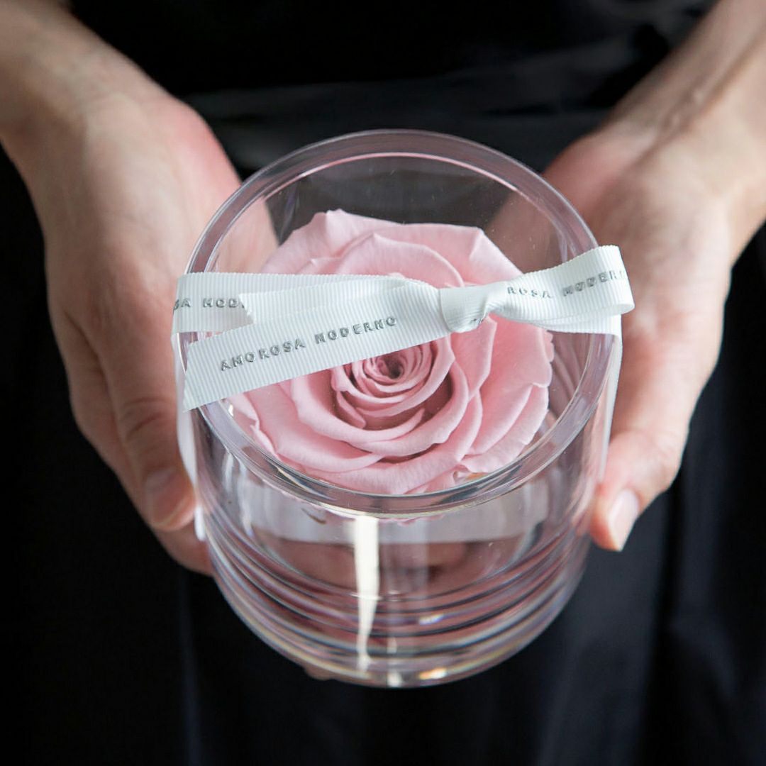 BLUMARINE 薔薇柄が美しいアンサンブル ブリリアント(S)/ピンク （プリザーブドフラワー） | 最高級