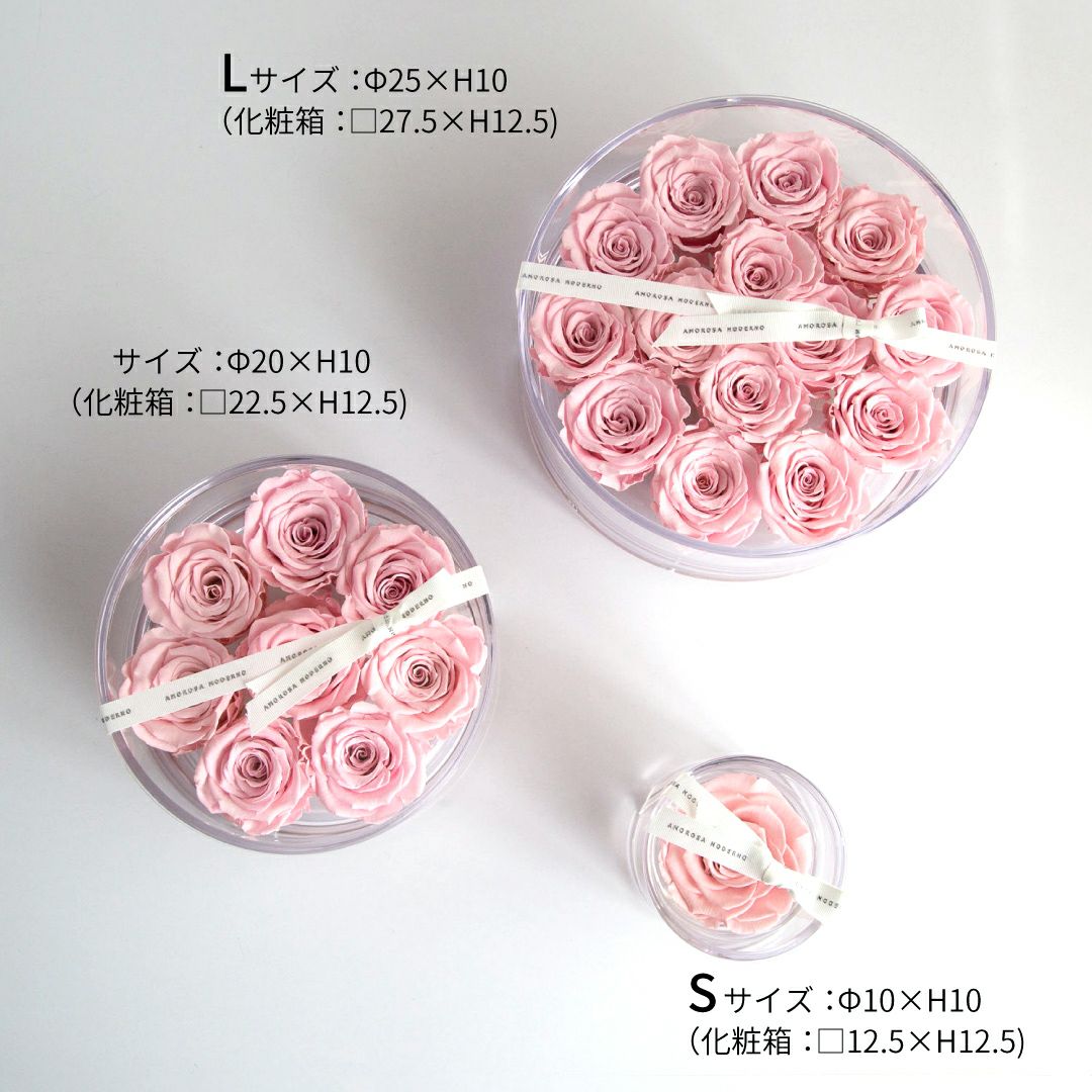 BLUMARINE 薔薇柄が美しいアンサンブル BLUE GRAVITY ROSE plant by Takunori Kimura Rosa Orientis 2020