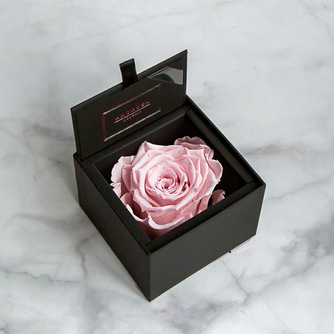 000000000493-01.jpg?size=m&w=