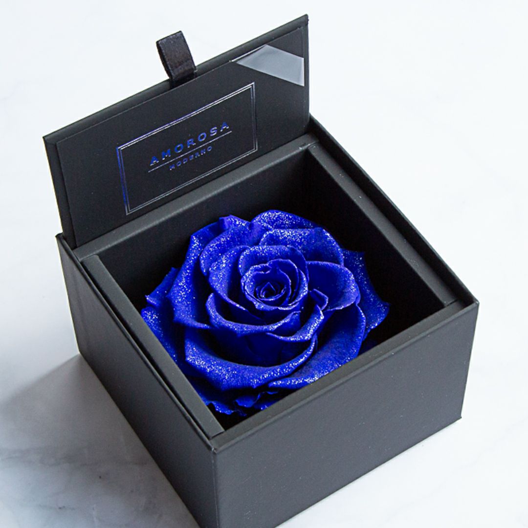 000000000501-01.jpg?size=m&w=