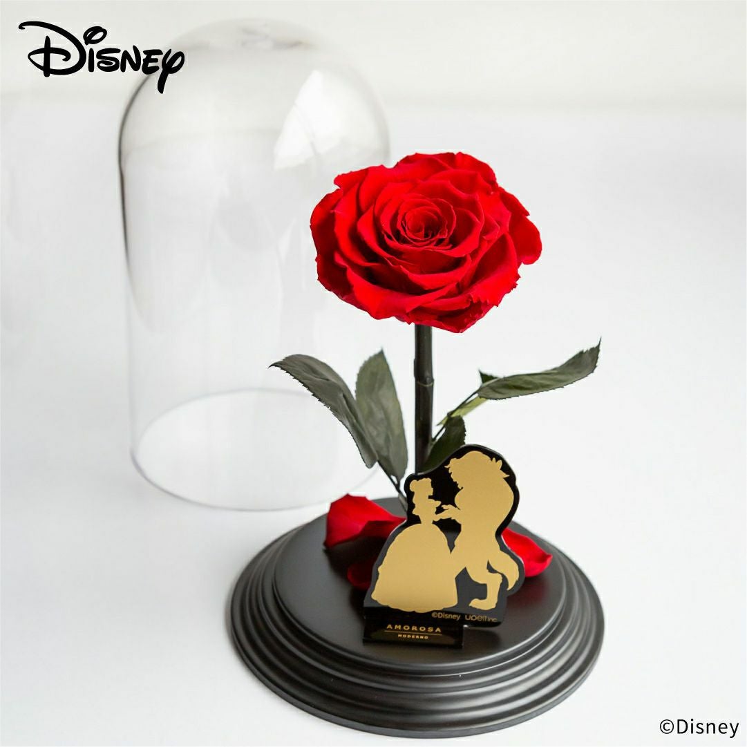000000000543-09.jpg?size=l&w=
