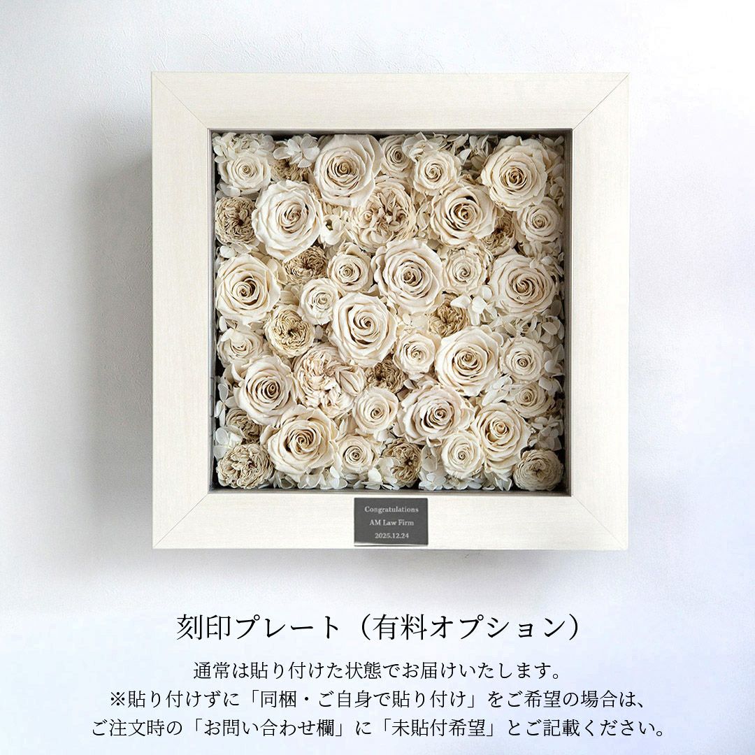 amorosa moderno パナッシュ(W37-H37) / ホワイト40本 パナッシュ(W37-H37) / ホワイト40本(プリザーブドフラワー) | 最高級