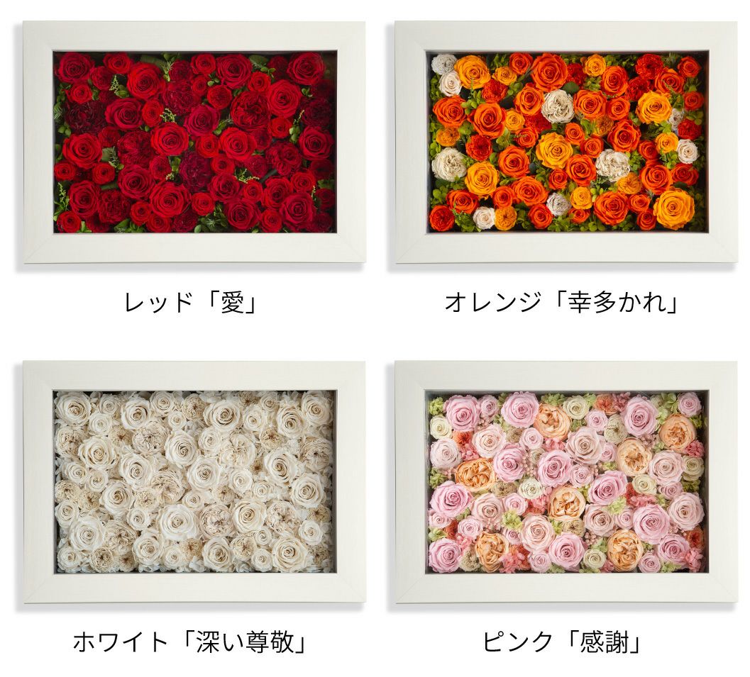 パナッシュ(W52-H37)/オレンジ60本 (プリザーブドフラワー) | 最高級